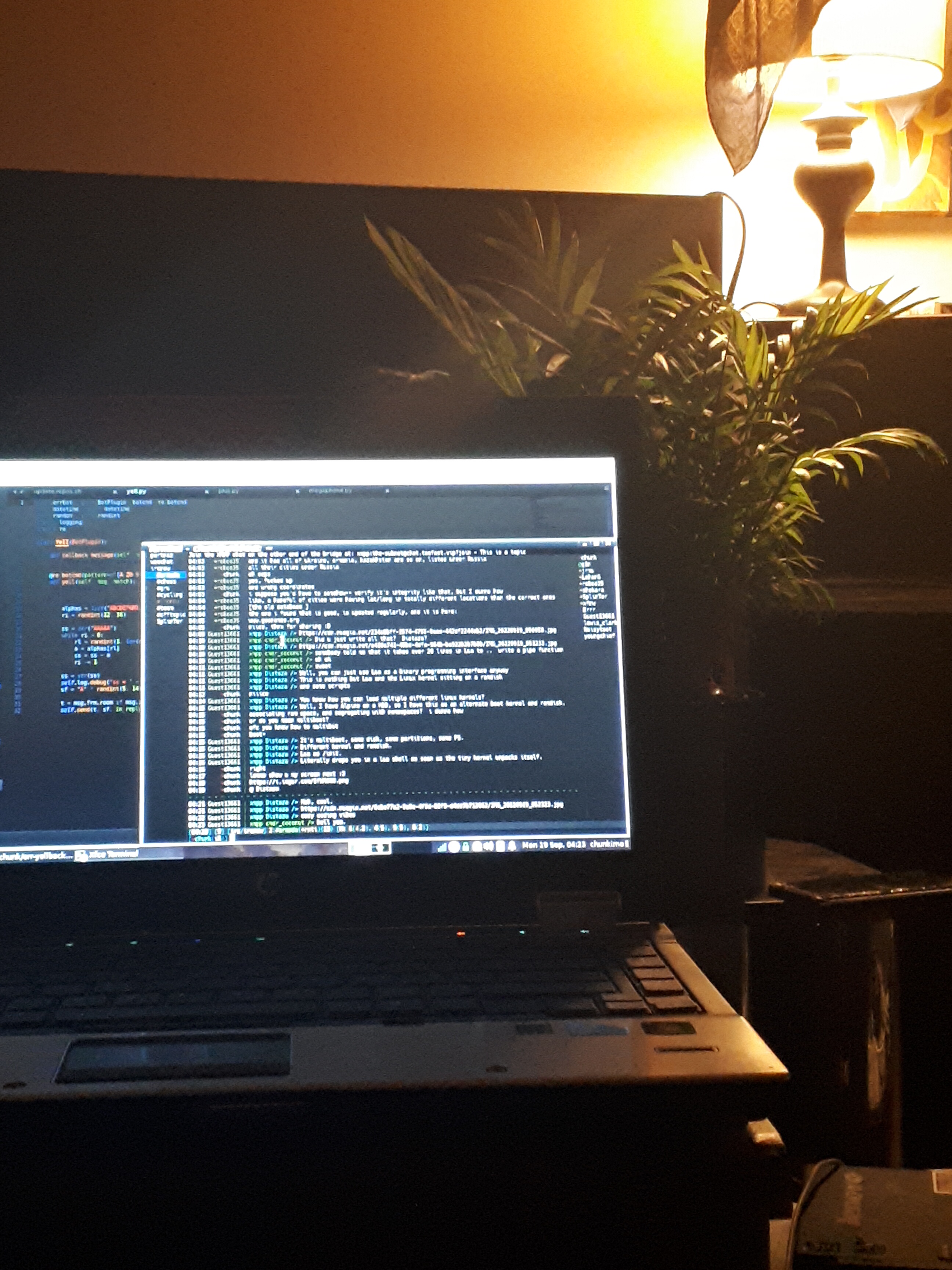 chillin codin